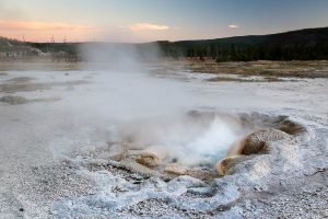Shell Spring Erupting