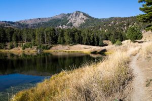 Beaver Ponds and Mountains