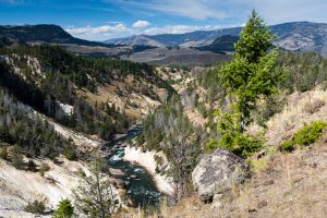 Yellowstone River Carving Through Landscape