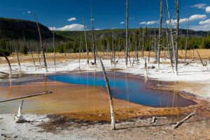 Opalescent Pool of Black Sand Basin