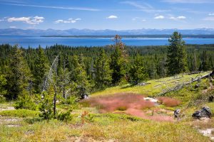 Yellowstone Lake Below Hill