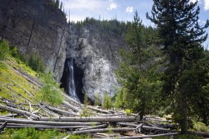 Logs Below Fairy Falls