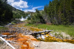 Imperial Geyser Erupting Beyond Creek