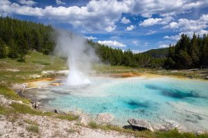 Imperial Geyser Erupting Below Forest