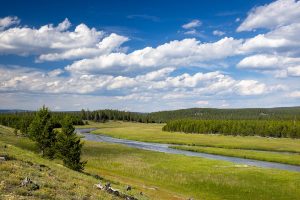 Firehole River Below Fountain Flat Drive Trail
