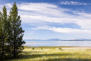 Yellowstone Lake and Pelican Creek
