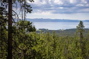 Yellowstone Lake Below Elephant Back Mountain Trail