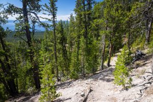 Yellowstone Lake Beyond Trail