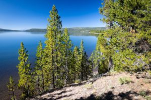 Teton Mountains Far Beyond Lewis Lake