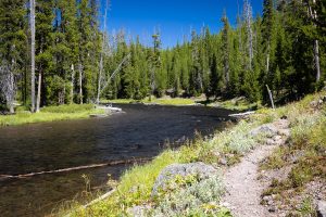Trail Winding Along Lewis River Channel