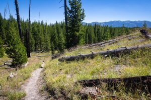 Mount Sheridan Beyond Dogshead Trail