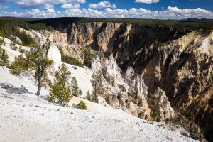 Bright Rhyolite Along North Rim Trail