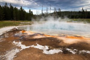 Sinter Collecting Around Green Spring