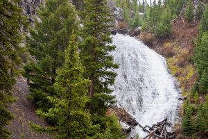 Wraith Falls surrounded by evergreen trees lining the cliffs along Lupine Creek. Yellowstone National Park, Wyoming