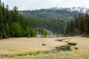 A small creek cutting through a meadow fed by Lost Lake below distant mountains. Yellowstone National Park, Wyoming