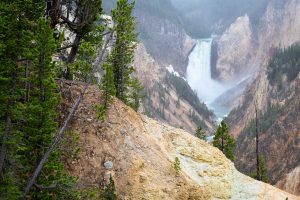 Lower Falls at the back of the Grand Canyon of the Yellowstone River pouring over rhyolite cliffs during a rain shower. Yellowstone National Park, Wyoming