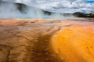 Tracks left by wildlife imprinted in the thermophiles below Grand Prismatic Spring in the Midway Geyser Basin. Yellowstone National Park, Wyoming