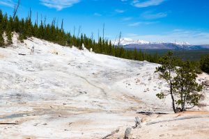 Monument Geyser Basin Below Trees