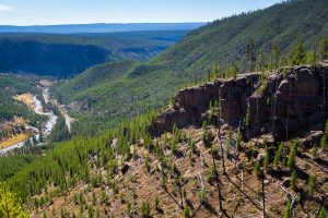 Gibbon River Below Caledera Rim