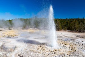 Vixen Geyser Erupting