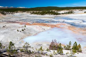 Porcelain Spring Flowing into Basin