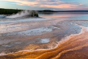 Thermophiles in Water Runoff