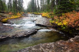 Cascades Along Cascade Creek
