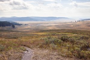 The Ribbon Lake Trail bending above the Hayden Valley. Yellowstone National Park, Wyoming