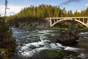 The Yellowstone River rushing over small rapids below the Chittenden Bridge. Yellowstone National Park, Wyoming