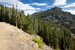 Mount Washburn rising in the distance beyond the Mount Washburn Trail. Yellowstone National Park, Wyoming