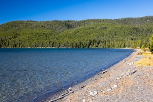 Shoshone Lake stretching out below forested hills in the distance. Yellowstone National Park, Wyoming