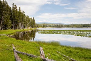 Light clouds passing above Riddle Lake. Yellowstone National Park, Wyoming