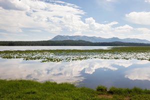 Mount Sheridan rising in the distance beyond the calm waters of Riddle Lake. Yellowstone National Park, Wyoming