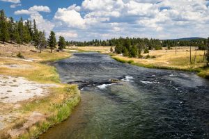 The Firehole River flowing toward Sentinel Meadows. Yellowstone National Park, Wyoming