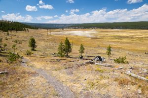 The Sentinel Meadows Trail winding through its namesake meadows. Yellowstone National Park, Wyoming