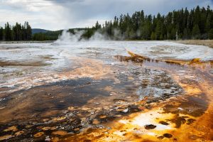 Orange thermophiles lining the water running off from Daisy Geyser in the Upper Geyser Basin. Yellowstone National Park, Wyoming