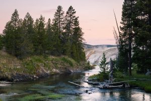 The Firehole River flowing gently toward Geyser Hill in the Upper Geyser Basin. Yellowstone National Park, Wyoming