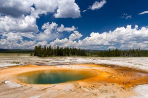Opal Pool