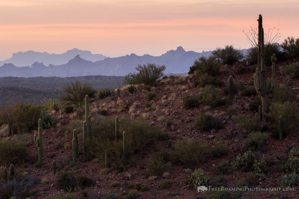 Sonoran Desert Sunset