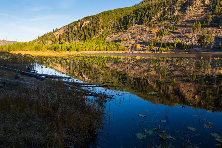 Harlequin Lake Reflecting Mountains