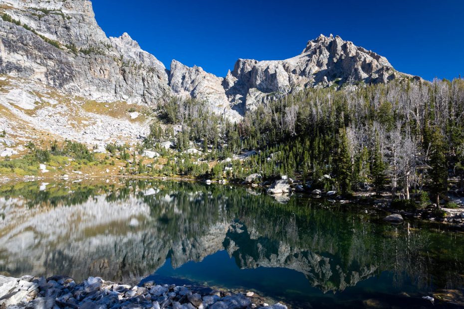 Teewinot Reflected in Amphitheater Lake