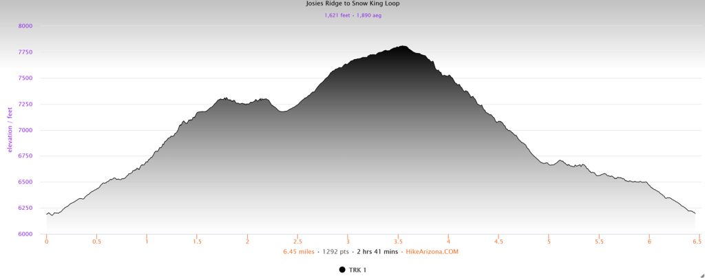 Elevation profile for the Josie's Ridge to Snow King Loop