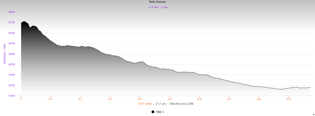 Elevation profile for the Park Avenue Trail