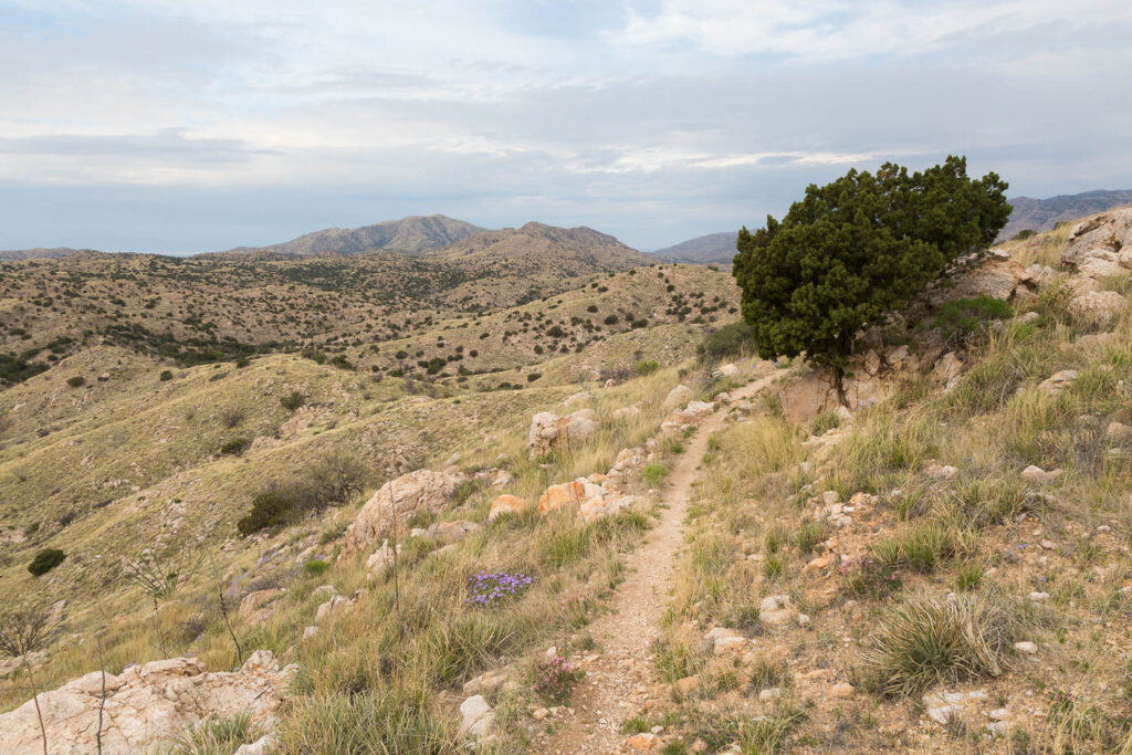 Trail Through Desert Hills