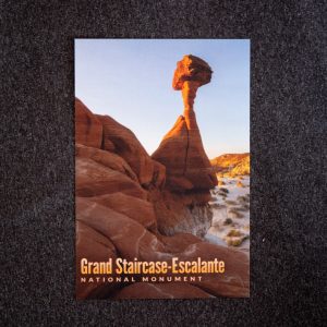 Toadstools in Grand Staircase Postcard