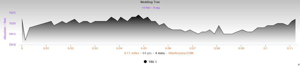 Elevation profile for the Wedding Tree