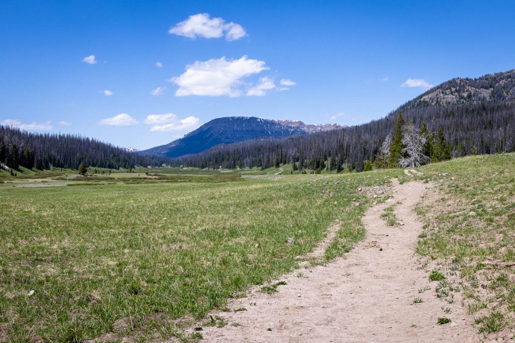 Upper Brooks Lake Trail in Large Valley