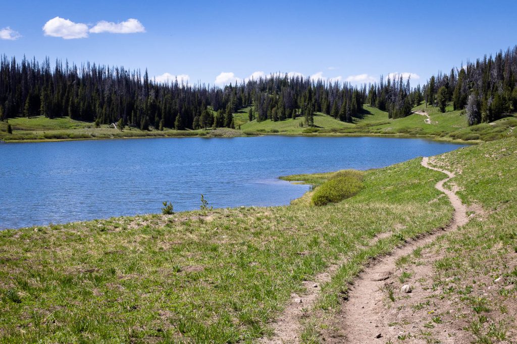 Upper Brooks Lake Below Forests and Meadow