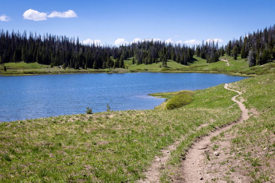 Upper Brooks Lake Below Forests and Meadow