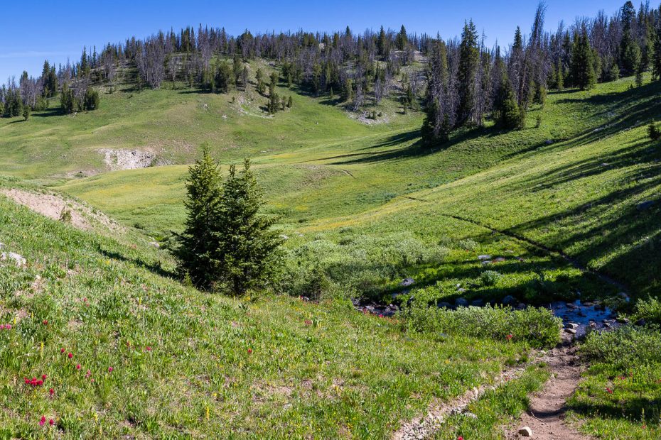 Holmes Cave Trail Descending Through Meadow